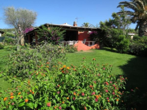 Villa 200 mt from the beach - Baja Sardinia Mucchi Bianchi